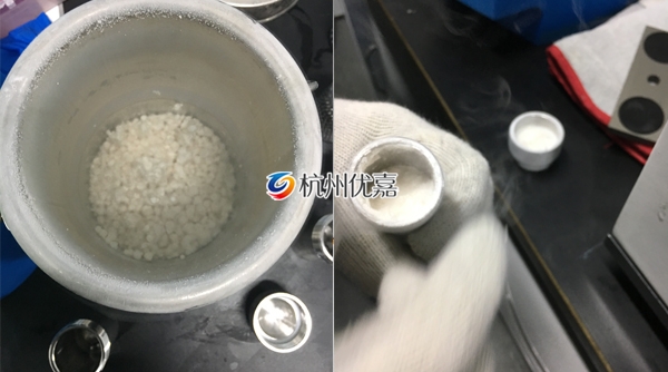 宋慈全自動快速研磨儀研磨酵母實驗案例