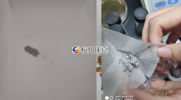 宋慈全自動快速研磨儀研磨小鼠皮膚實驗案例