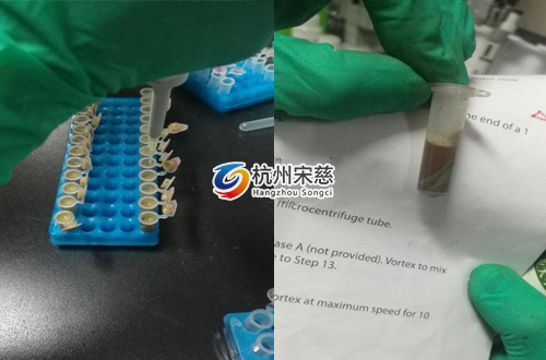 <a href=http://www.caindc.cn/prouduct/lengdong/ target=_blank class=infotextkey>冷凍研磨儀</a>